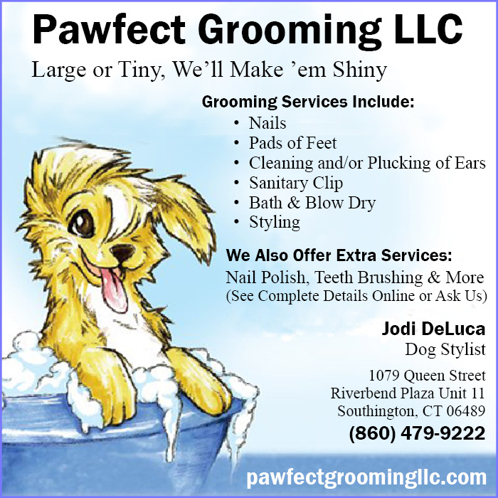 Pawfect Grooming LLC Southington CT 06489